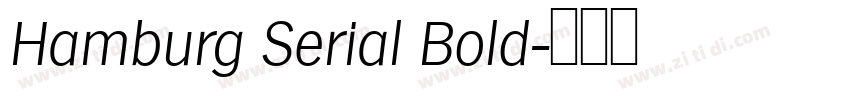 Hamburg Serial Bold字体转换